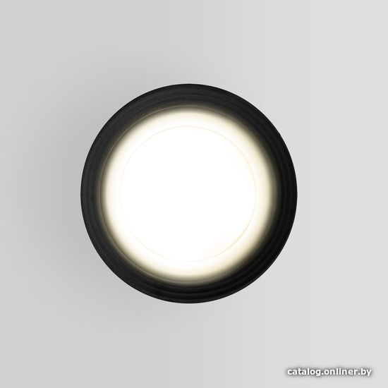 Уличный накладной светильник Elektrostandard Light 2101 35128/H (черный)