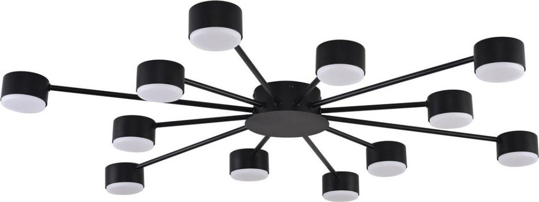 Припотолочная люстра Lumion Torina 8344/12C