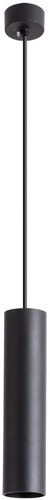 Лампа Arte Lamp Sirius A1524SP-1BK