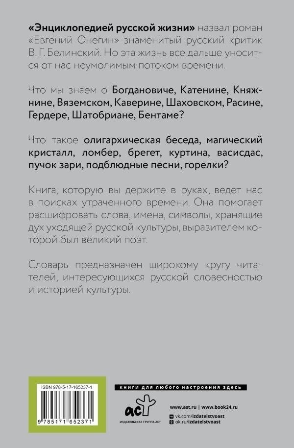 Книга издательства АСТ. Евгений Онегин. Читаем со словарем. Комментарии к роману (Салимова Л.)