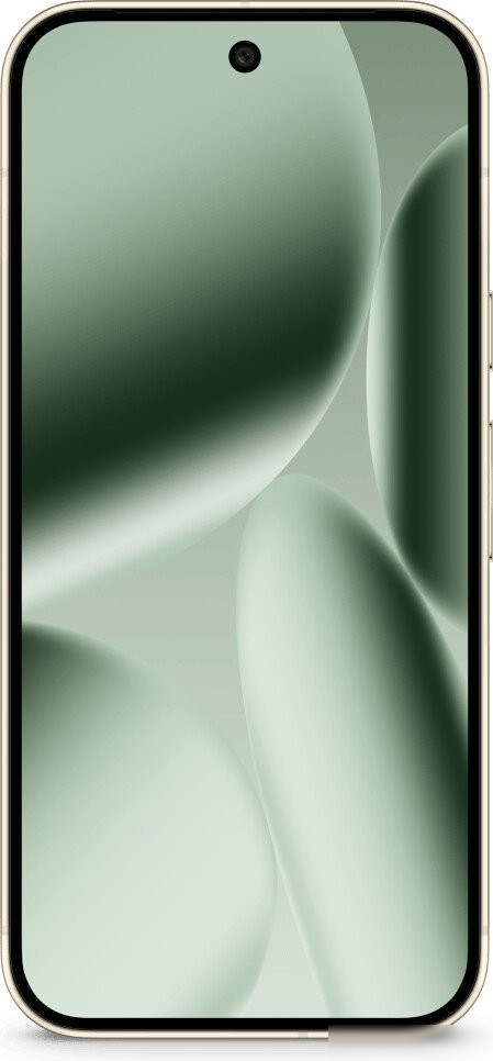 Телефон Google Pixel 10 Pro 16GB/256GB (нефрит)