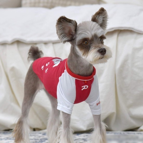 Футболка Puppia Sniffer PAUA-TS1807-RD-S (S, красный)