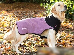 Попона для животных Scruffs Thermal 937812 (XL, фиолетовый)