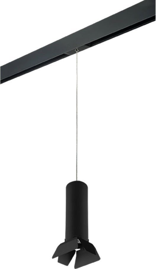 Трековый светильник Lightstar Rullo PRORP497437