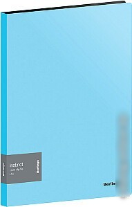 Папка для бумаг Berlingo Color Zone ACp_01113 (розовый)