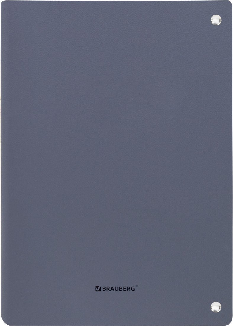 Общая тетрадь BRAUBERG Vista. Minimal 405202 (120л, серый)