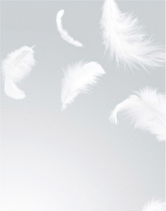 Фотообои Citydecor Перышки 200x254