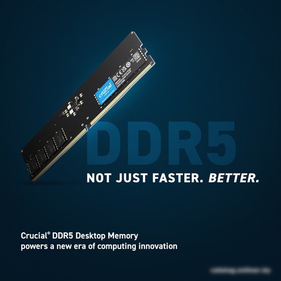 Оперативная память Crucial 32ГБ DDR5 5600 МГц CT32G56C46U5