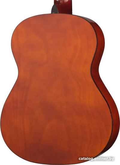 Акустическая гитара Naranda CG220-4/4
