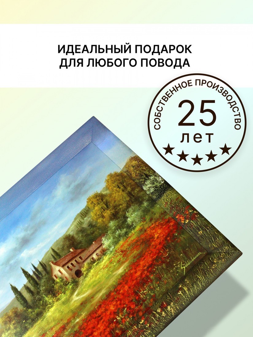 Картина Декарт 8Л0382