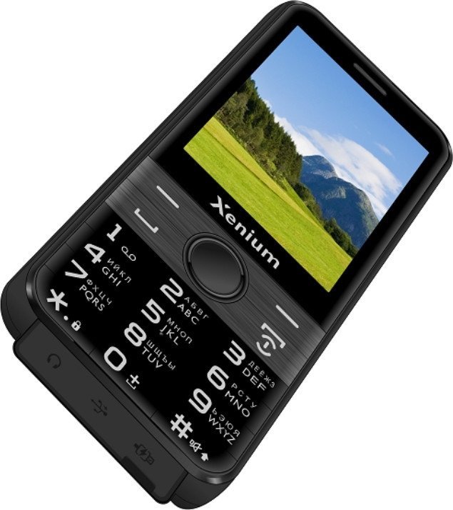 Кнопочный телефон Xenium X800 (черный/серый)