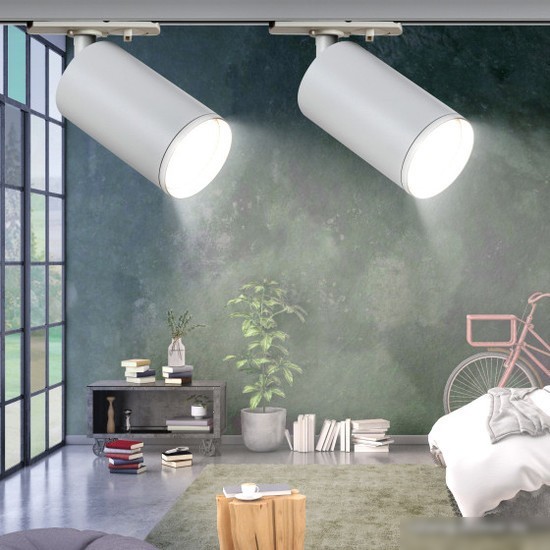 Трековый светильник ЭРА TR39-GU10 WH Б0053309