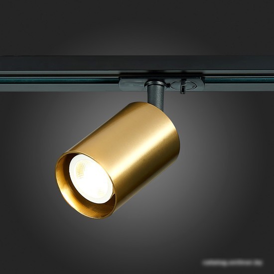 Светильник ST Luce ST302.206.01