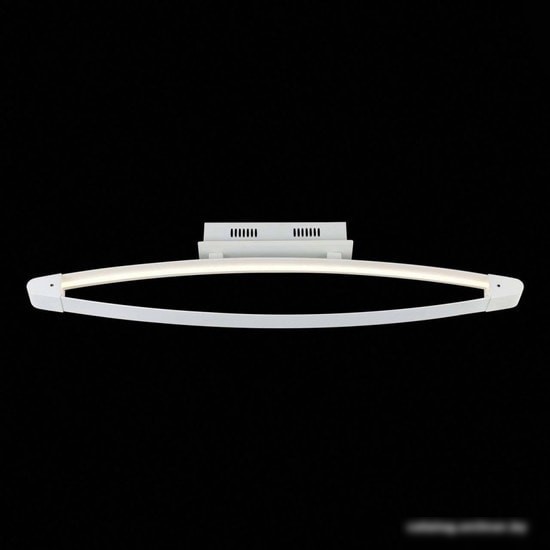 Припотолочная люстра ST Luce Orione SL920.102.01