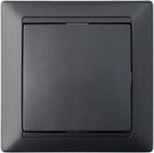 Выключатель Bylectrica Стиль С1 10-801 (графит)