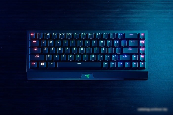 Клавиатура Razer Blackwidow V3 Mini HyperSpeed Green Switch