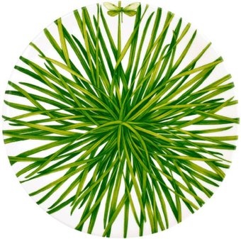 Блюдо Taitu Life In Green 12-13-6