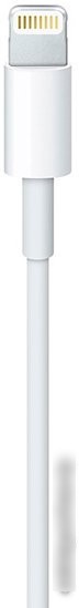 Кабель Apple USB 2.0 Type-C - Lightning (1 м, белый)