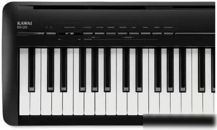 Цифровое пианино Kawai Filo ES120 (черный)
