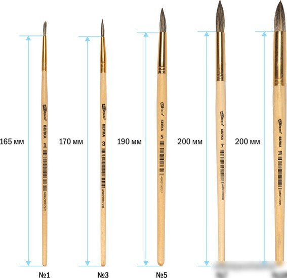 Набор кистей ArtSpace белка круглые № 1, 3, 5, 7, 9, 11 SB_3301 (6 шт)