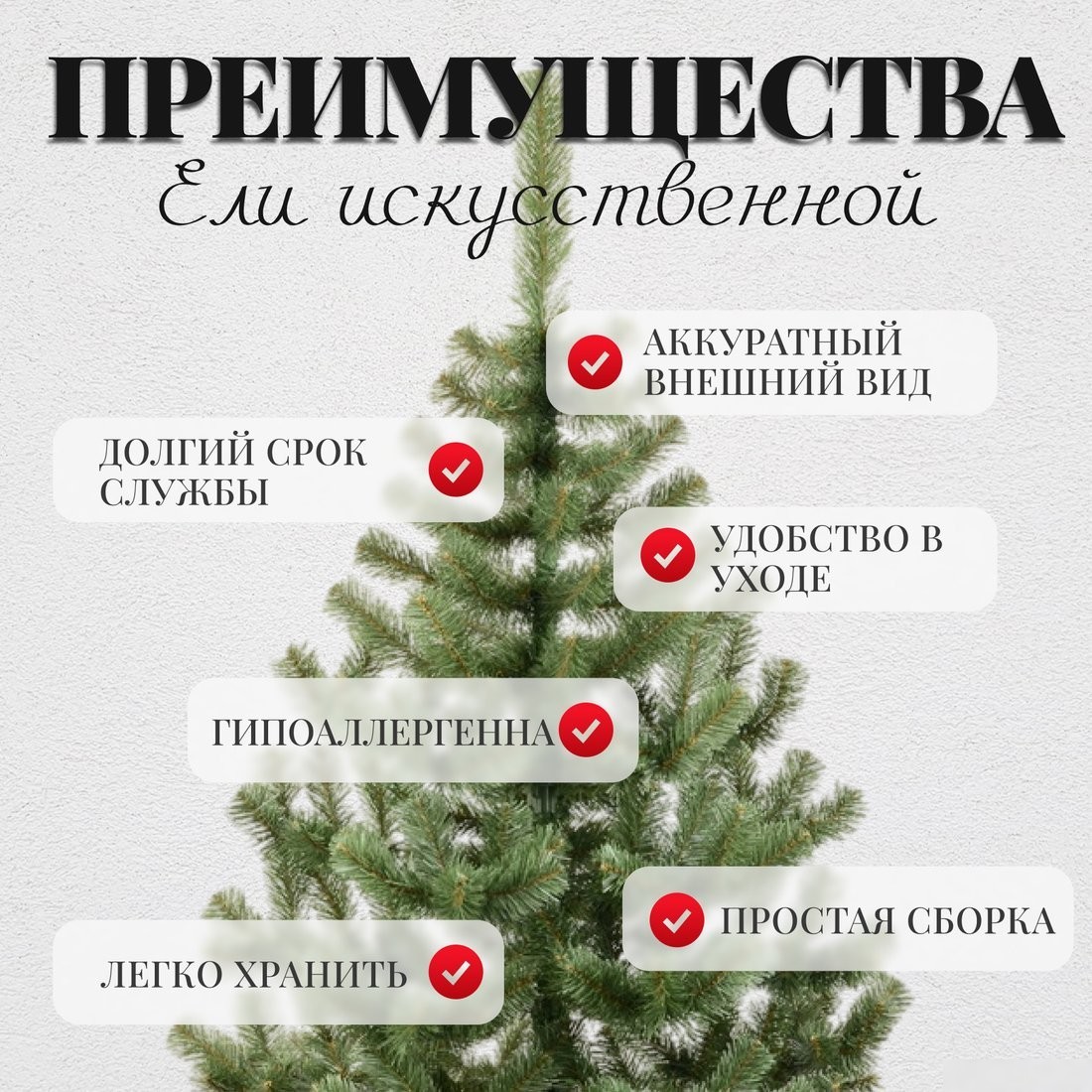 Пихта Erbis Jodla 220