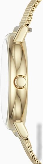 Наручные часы Skagen SKW2693
