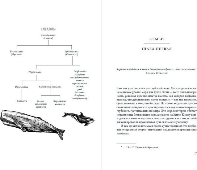 Книга издательства Альпина Нон-фикшн. Воспитание дикости. Как животные создают свою культуру (Сафина К.)