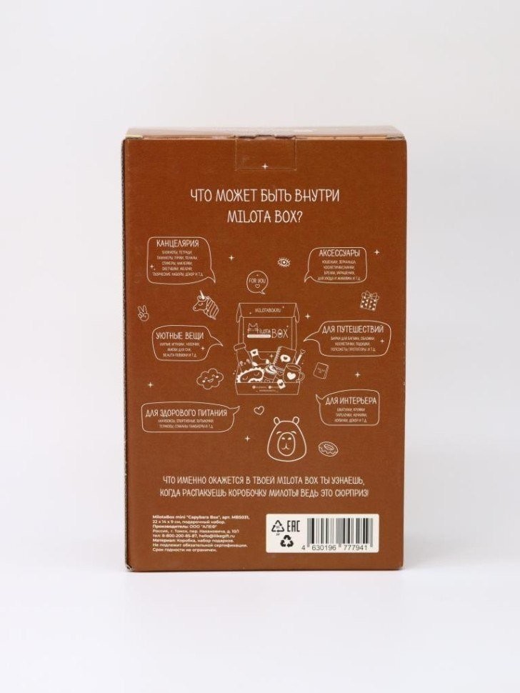 Подарочный набор Milota Box Capybara Box Mini MBS031