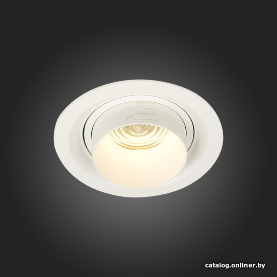 Точечный светильник ST Luce Zoom ST701.538.12