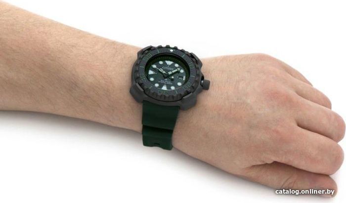 Наручные часы Citizen Promaster BN0228-06W