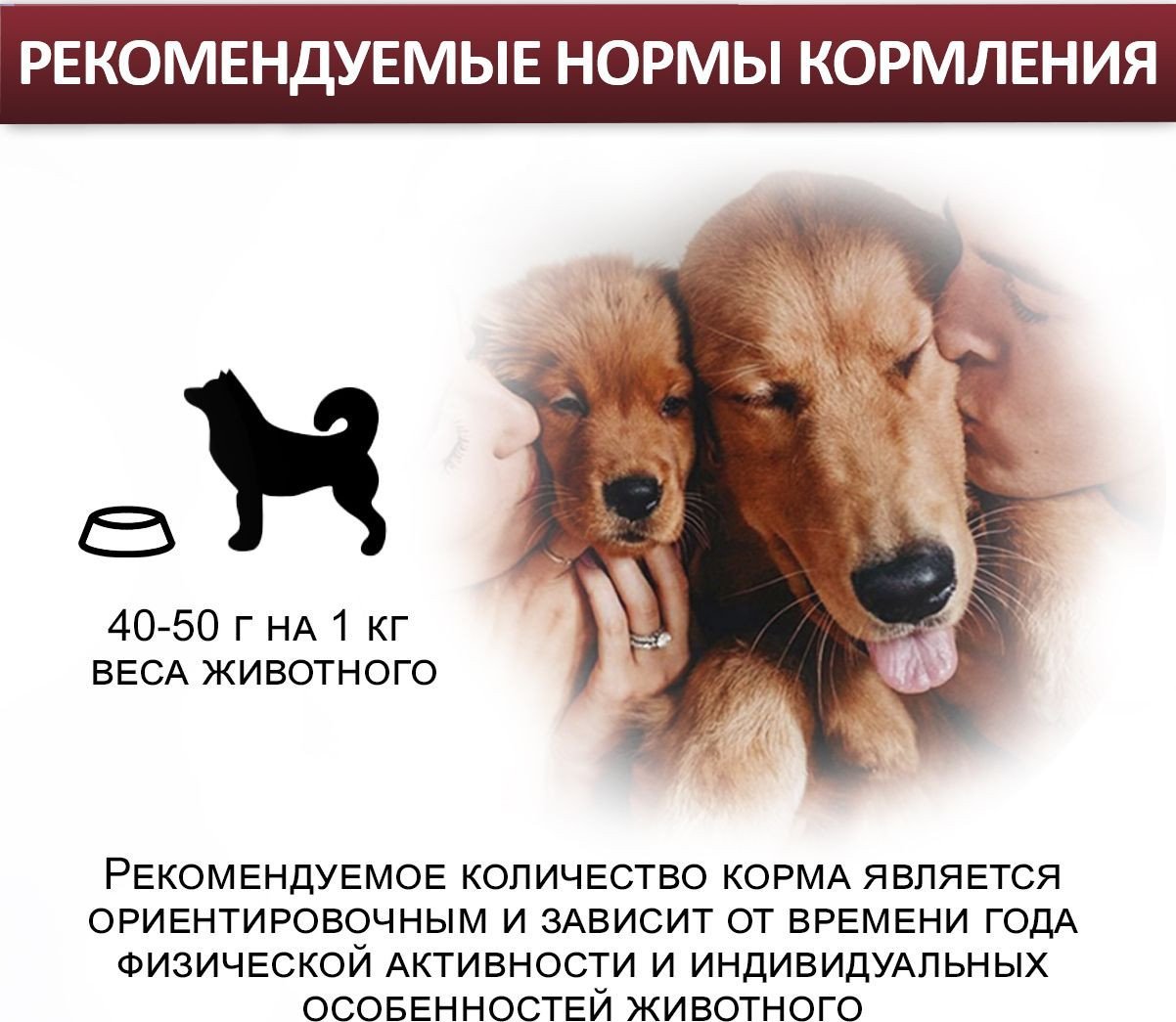 Консервированный корм для собак Edel Телятина с рисом 850 г
