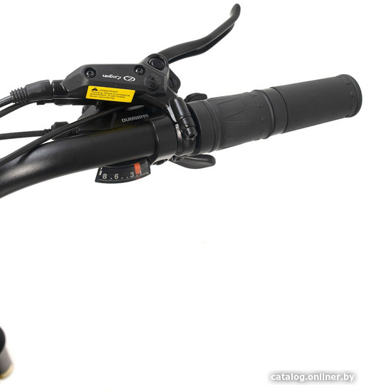 Электровелосипед Smart Balance Hunter 2024 (золотистый)