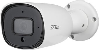 IP-камера ZKTeco BL-854N38S-S7