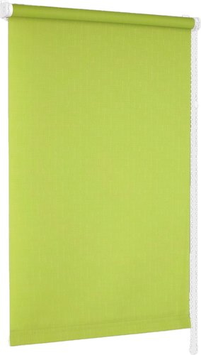 Мини рулонные шторы Delfa Сантайм Лен СРШ-01 МЭД2653 (48x160, светло-зеленый)
