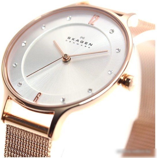 Наручные часы Skagen SKW2151