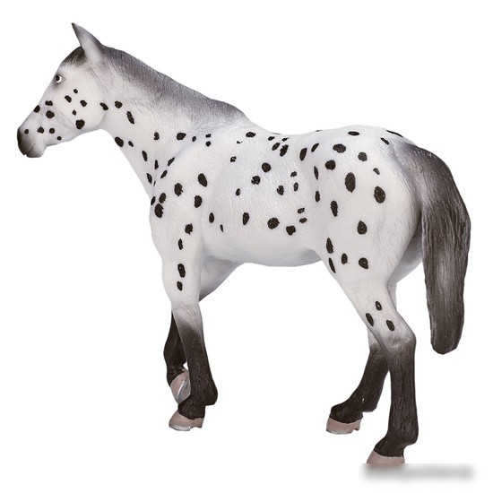 Фигурка Konik Аппалузский жеребец AMF1038