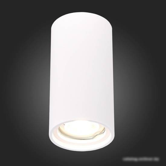 Точечный светильник ST Luce ST155.502.01