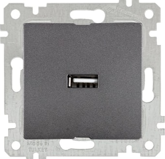 Розетка USB Mutlusan 2200 448 0195