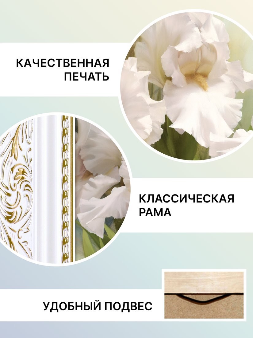 Картина Декарт Белые ирисы 1 8Л0741 (в раме)