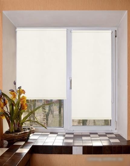 Рулонные шторы Lm Decor Лайт LM 30-02C 110x160
