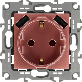 Розетка USB ЭРА 12-4109-14 Б0047848 (медь)