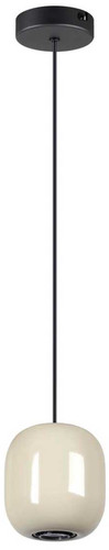 Подвесная люстра Odeon Light Ovali 5053/1A