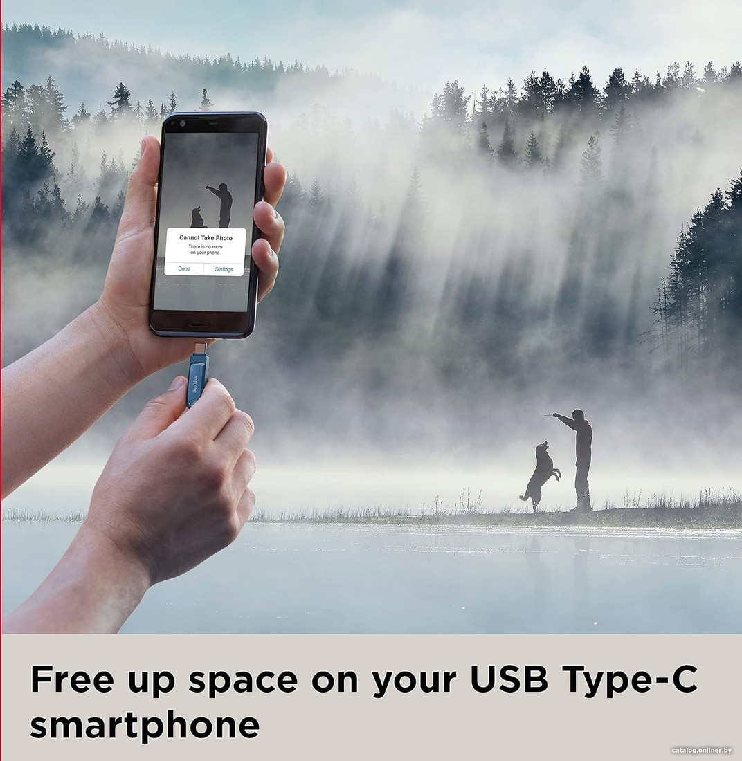 USB Flash SanDisk Ultra Dual Drive Go Type-C 64GB SDDDC3-064G-G46NB