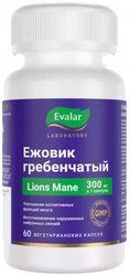 БАД Эвалар Ежовик гребенчатый (60 капсул)
