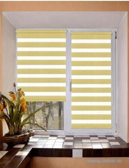 Шторы день-ночь Lm Decor Грация ДН LB 10-08 110х160