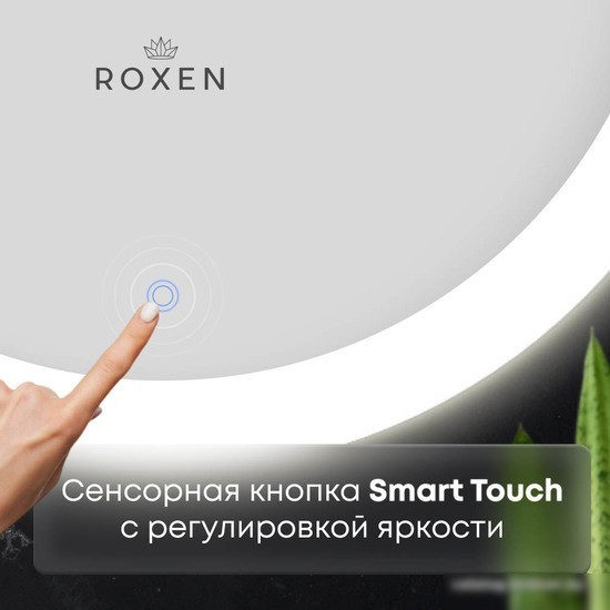 Roxen Зеркало Bliss 510035-50 50х70