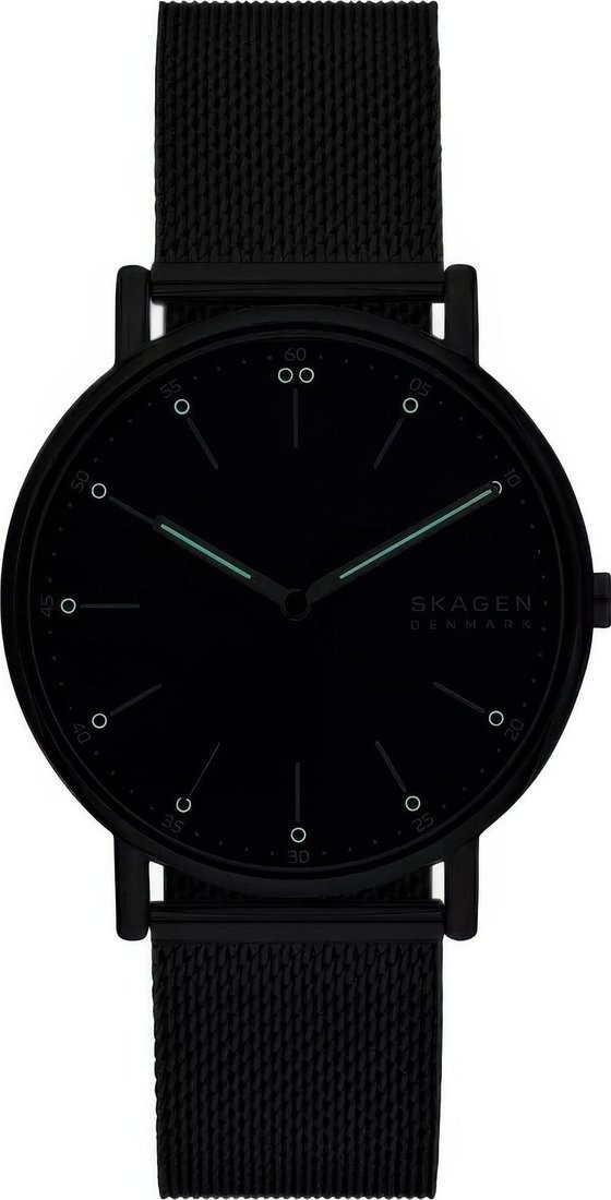 Наручные часы Skagen SKW6904