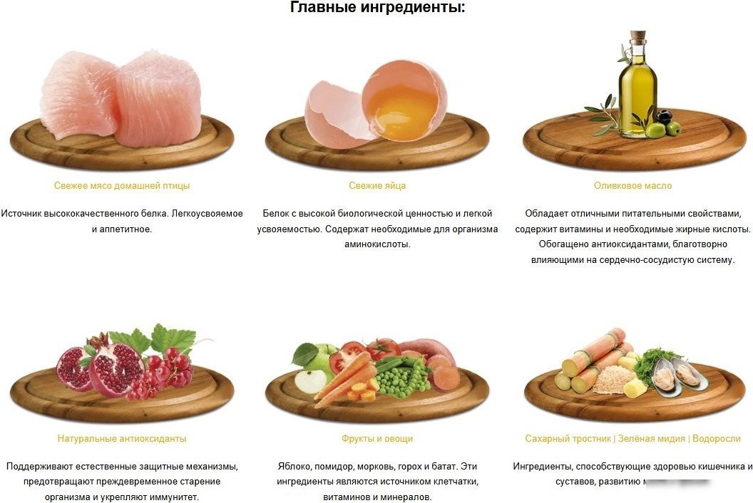 Сухой корм для собак HappyOne Mediterraneum со свежим яйцом и свежим мясом птицы 7 кг