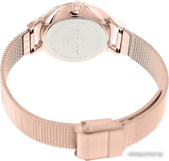 Наручные часы Skagen SKW2151