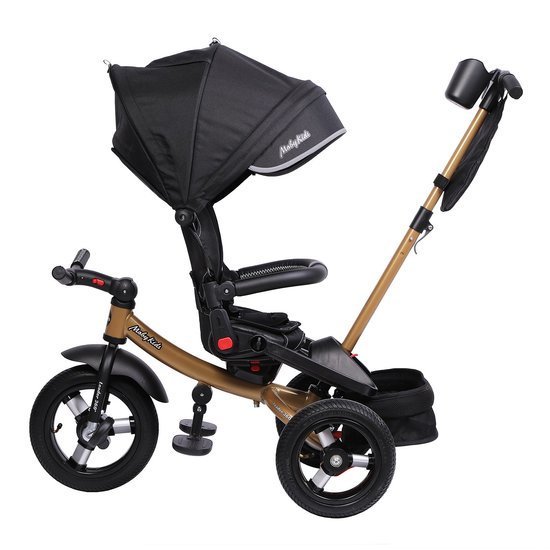 Детский велосипед Moby Kids Leader 360° 12x10 AIR (черный)